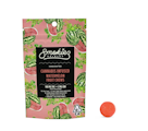 Smokiez Gummiez - 100mg - 10ct Gummies - Sweet Watermelon