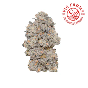 FIG FARMS - Jokerz - 3.5g (IH) - Fig Farms