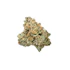 Product Preview Image 2