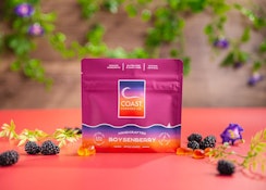 Boysenberry 1:4:1 THC:CBD:CBC Gummies - 100mg - Coast