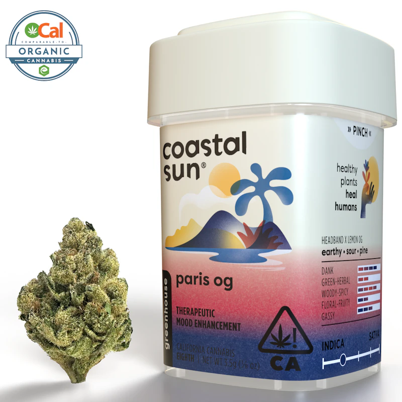 Coastal Sun - Paris OG - 3.5g (IH) - Coastal Sun Main Image