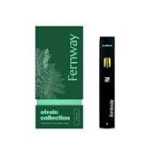 Headband | Traveler | Disposable | 1g (Fernway)