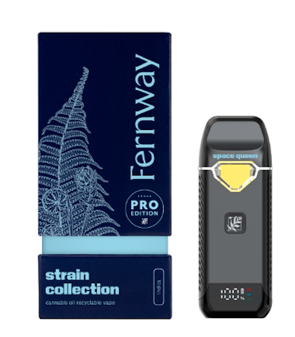 Fernway - Space Queen -Indica- 89.70% THC | Traveler PRO Recyclable Vape, 2g | Fernway    -ttt4 back