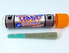 Inzane | Hash Infused Preroll | 1g