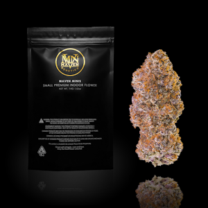 MAVEN GENETICS - GOLDEN APPLEZ 14G - MAVEN GENETICS