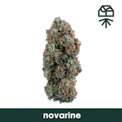 Grassroots - Novarine - Flower - 3.5g