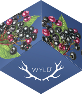 WYLD - WYLD Elderberry CBN Gummies 2:1 100mgTHC/50mgCBN