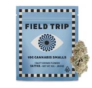 Field Trip Smalls 10g Gelonade