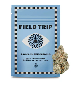 Field Trip - Field Trip Smalls 20g Mango Haze