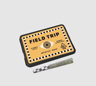Field Trip - Field Trip 5pk Prerolls 2.5g Ghost OG