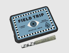 Field Trip 5pk Prerolls 2.5g Jungle Bird