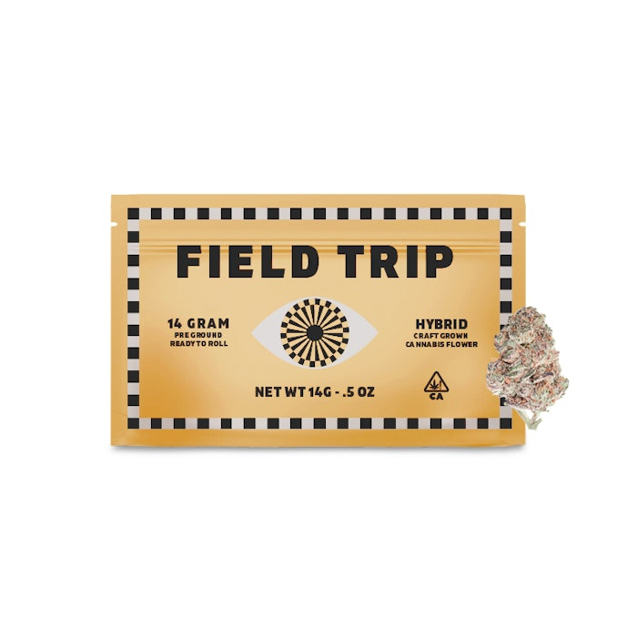 Field Trip | Slushberry | Pre-Ground | 14g