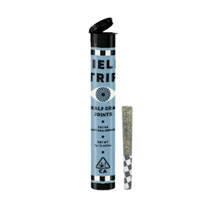 Field Trip - Field Trip | NY Haze | Pre-Rolls | 2pk