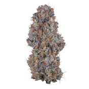 Fig Farms | Blue Face Rainbow Belts | 3.5g