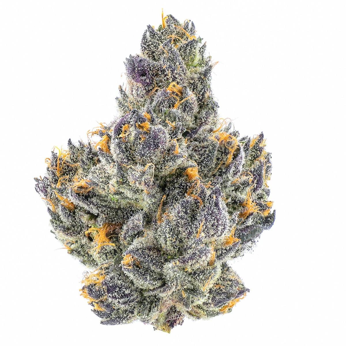 Fig Farms - Fig Farms | Cherry Martinelli | 3.5g Main Image
