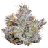 Product Preview Image 1