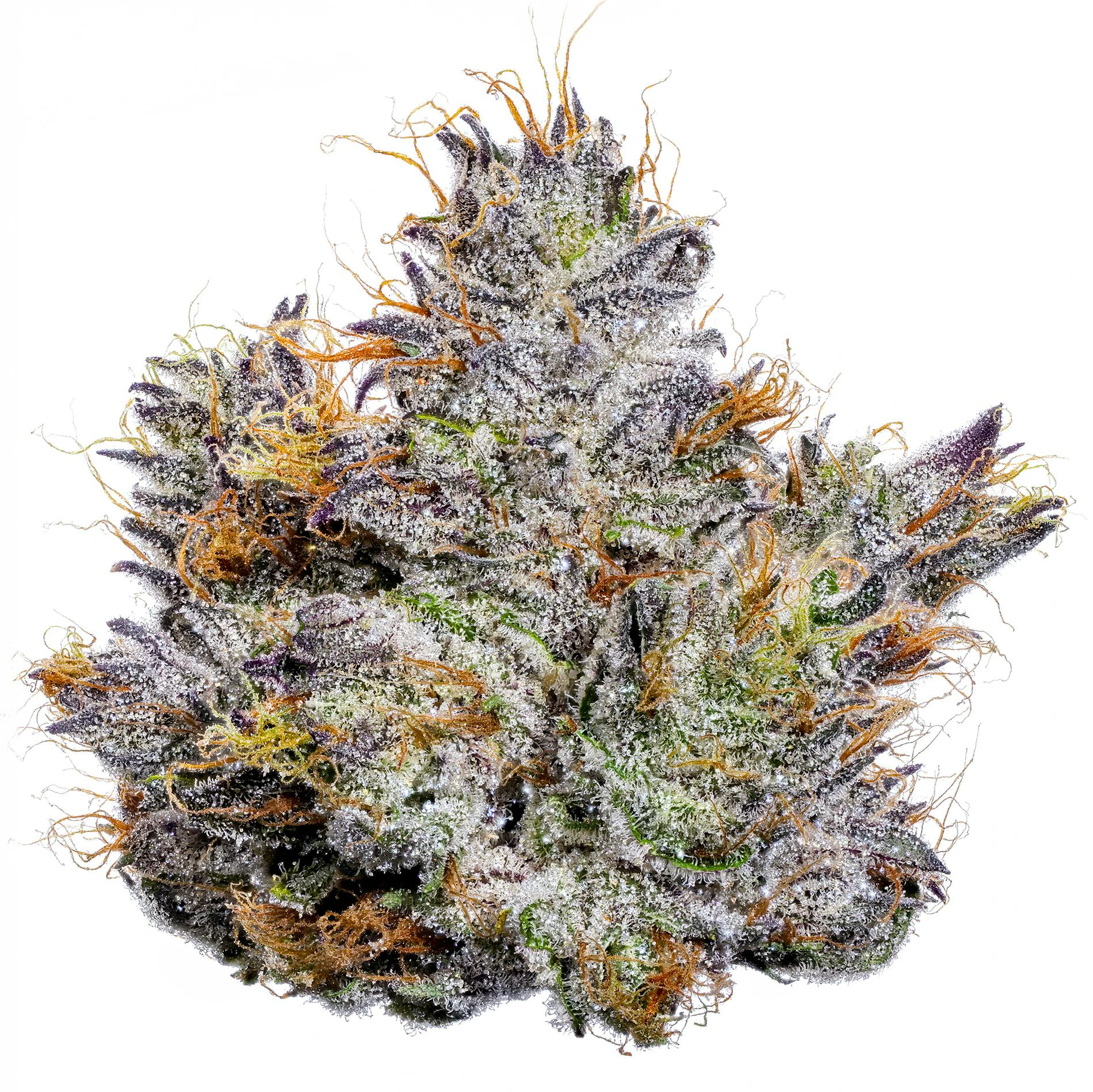 Fig Farms - Fig Farms | Fabulosa | 3.5g Main Image