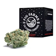 Fig Farms | Whole Fruits | Indoor Flower | 1/8oz