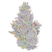 Fig Farms | Koala Crack | 3.5g