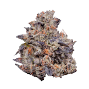 Fig Farms | Lemon Cherry Gelato | 3.5g