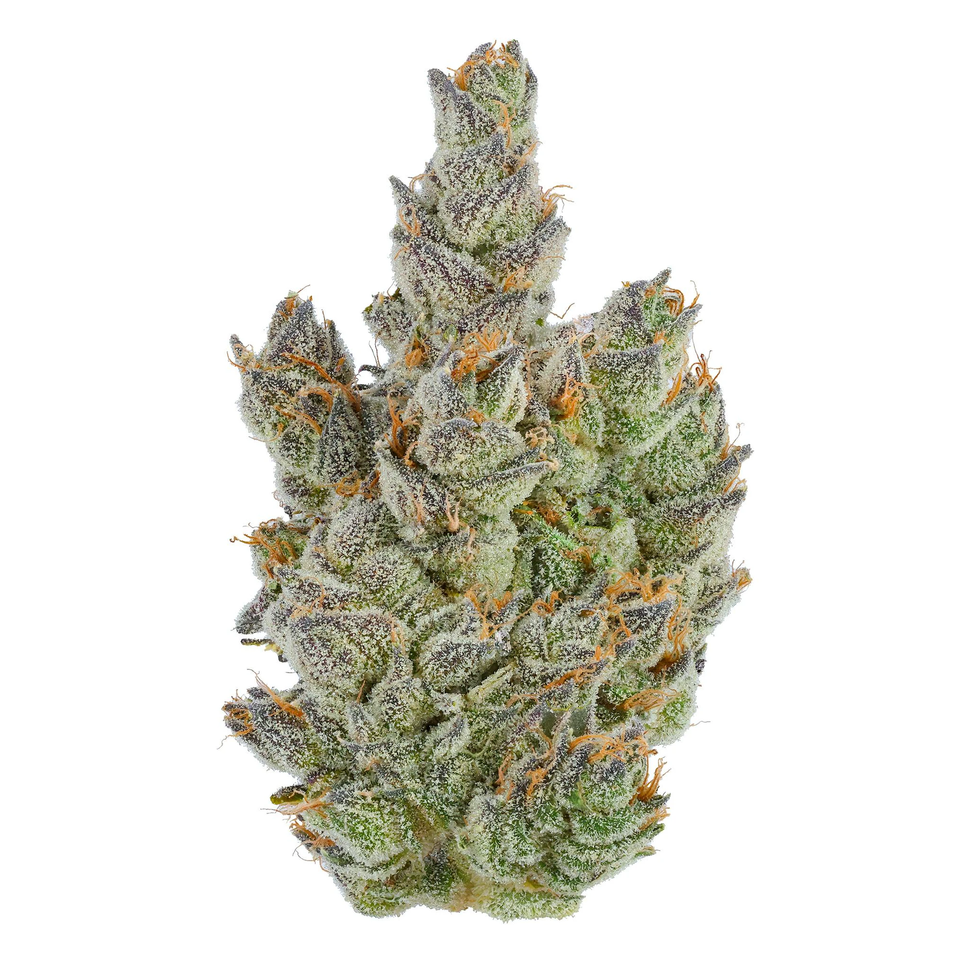 Fig Farms - Fig Farms | Moonana Chronic | 3.5g Main Image