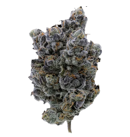 Fig Farms | Moonana Wreck | 3.5g