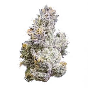 FIG FARMS - Fig Farms | Poppin Bottlez | 3.5g