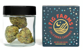 Fig Farms - 91 Bacio - 3.5g