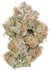Product Preview Image 2