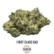 Canuvo | First Class Gas | Premium Flower | 28g [I]