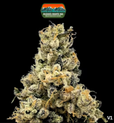 Rugged Roots | First Class Gas | 3.5G