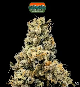 RUGGED ROOTS - Rugged Roots | First Class Gas | 3.5G