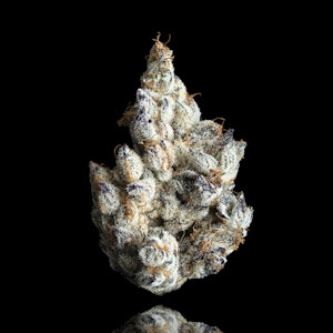 MAVEN GENETICS - New Money - 3.5g (H) - Maven