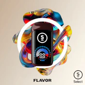 Select | BRIQ 2 - Flavor Series | Watermelon Ice | 2g