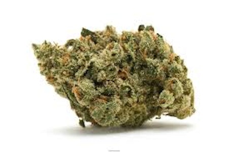 RARE MICHIGAN GENETICS - Buds - Floozie 