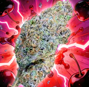Black Cherry Buff Flower - 3.5g