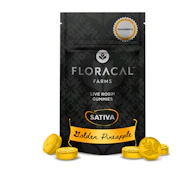 Golden Pineapple Live Rosin 10pk Gummies - 100mg