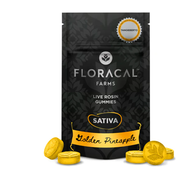 FloraCal - Golden Pineapple Live Rosin 10pk Gummies - 100mg Main Image