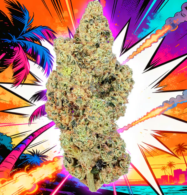FLORA - Miami Yeyo Flower - 1g Main Image