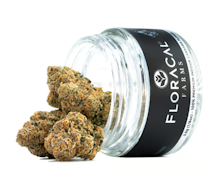 Purple Churro Flower - 3.5g