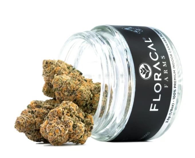 FloraCal - Purple Churro Flower - 3.5g Main Image