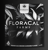 FloraCal Flower 3.5g - Gelato 33