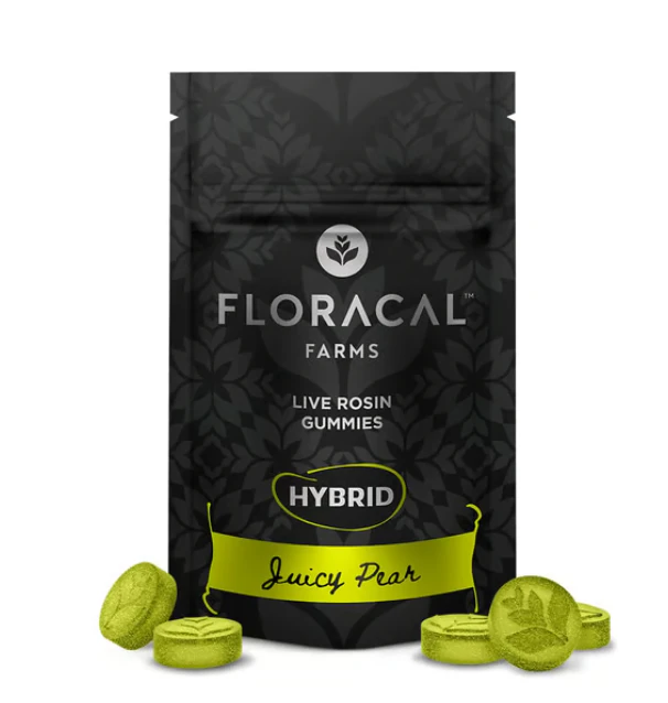 FloraCal - Juicy Pear Live Rosin 10pk Gummies - 100mg Main Image