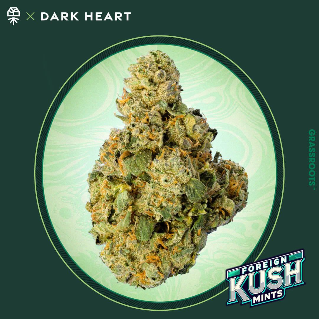 Grassroots - Grassroots | Foreign Kush Mints  | 7grams indica Dark Hearts Collection  Main Image