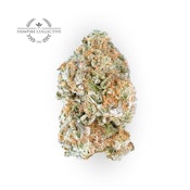 THC - Dante‘s Inferno Bud