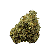 Gold Leaf - Flower - Koloa Guava - 3.5g