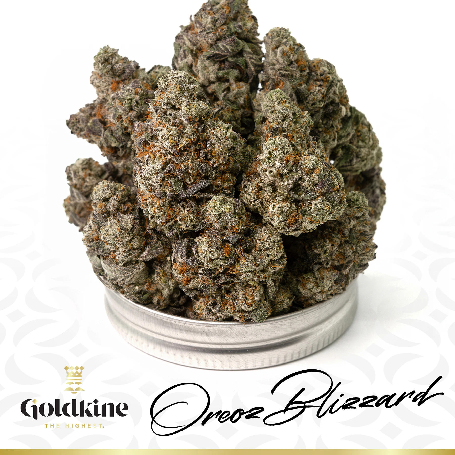 Goldkine - Oreoz Blizzard - Bulk Flower Bigs Main Image