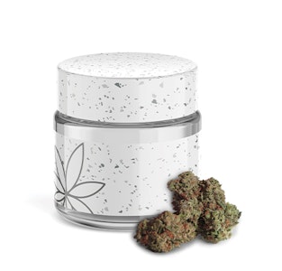 COOKIES - Cookies - 3.5G Flower Tub - Pheremone