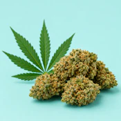 KUDA | PINEAPPLE SLURI | FLOWER | 3.5G