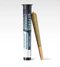 Revert - Revert Forbidden Kush Preroll 0.5g Main Image